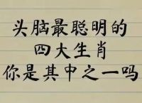 什么生肖最聪明睿达,什么生肖最聪明智商高