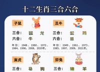 日历有玄机什么生肖,日历有玄机什么生肖呢