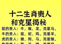关于小三打小四什么意思打一生肖的信息