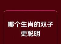 双子座属什么生肖最厉害,双子座属什么生肖最厉害呢