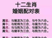 什么生肖不能出现什么数字,什么生肖不能和什么生肖结婚