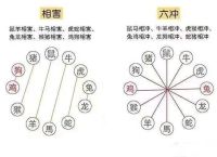 什么生肖跟什么生肖对冲呢,什么生肖跟什么生肖对冲呢图片