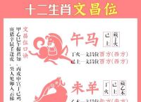 今期待马开多少号,今期开冷马代表什么生肖