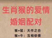 猴配什么生肖最好,猴配什么生肖最好婚姻