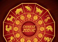 最好看的生肖是什么生肖,最好看的生肖是什么生肖呢