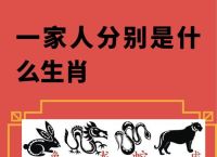 筆走龙蛇打一生肖,笔走龙蛇打一个最佳生肖