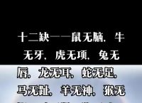 包含“不是仙人，也可指路。如奉綸音免苦恼”指什么生肖的词条