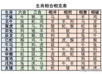 最准确的是什么生肖,福地洞天最准确的是什么生肖
