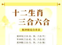 今期生肖一二七打一生肖,今期生肖最好找,二七美女大家求