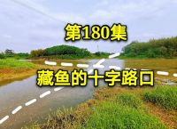 机率之中藏玄机最佳答案,机率之中藏玄机最佳答案是什么