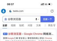 谷歌浏览器网页入口,谷歌浏览器网页入口网址