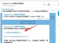 包含telegeram在中国为何禁用的词条