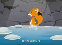 小狐狸动态软件安装,小狐狸动态软件安装包