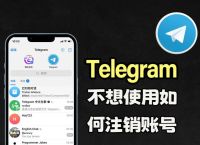 telegraph纸飞机,telegeram解除下载限制