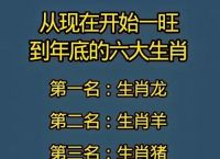 当中玄机够君猜打一动物,当中玄机够君猜是什么生肖