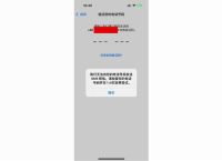 as2in1没有虚拟号码,虚拟号码收不到验证码了怎么办