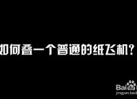 [电脑如何下载纸飞机]怎么下载纸飞机app
