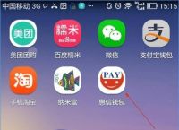 [gopay钱包app下载官网]gopay钱包app下载官网2020