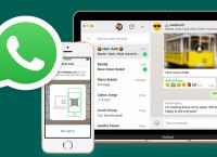 whatsapp2021下载-whatsapp2021版本下载