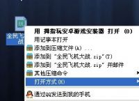 [飞机官方下载最新版本]飞机官方下载最新版本安卓