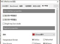 [飞机软件如何调中文版]飞机软件如何调中文版模式
