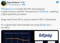 bitpay钱包安全吗-bitpay怎么导入钱包