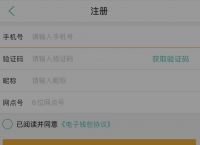 电子货币试点城市-电子货币试点城市使用反馈