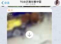 [telegram怎么登录]华为telegram怎么登录