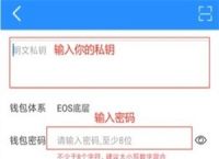 token钱包怎么玩,tokenpock钱包