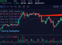 imtokenusdt转账没eth手续费,imtoken里面的usdt为什么转不出去
