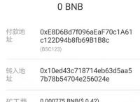 tp钱包为什么看不到钱,tp钱包新上的币看不到金额