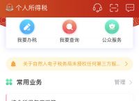 下载个人所得税app免费下载安装2020,下载个人所得税app免费下载安装下载在手机桌面