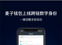 多链钱包app下载安装,多链钱包app下载安装官网