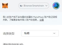 中文版加安卓小狐狸钱包怎么设置,中文版加安卓小狐狸钱包怎么设置密码