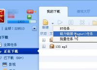 bt磁力,bt磁力猪