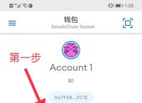小狐狸钱包电脑版安装不了,小狐狸钱包电脑版安装不了怎么办