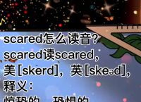 关于whatsapp英文怎么读音的信息