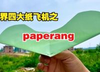 纸飞机缓存的视频,纸飞机缓存的视频在手机哪里