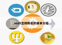 usdt可以买什么,usdt可以直接买东西吗