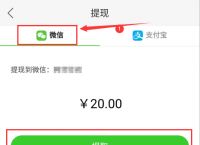 货币钱包怎么提现,货币钱包怎么提现到银行卡