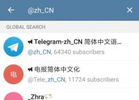 Telegram最新下载的简单介绍