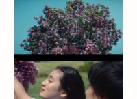 firstlove音译中文,firstlove中文音译歌词