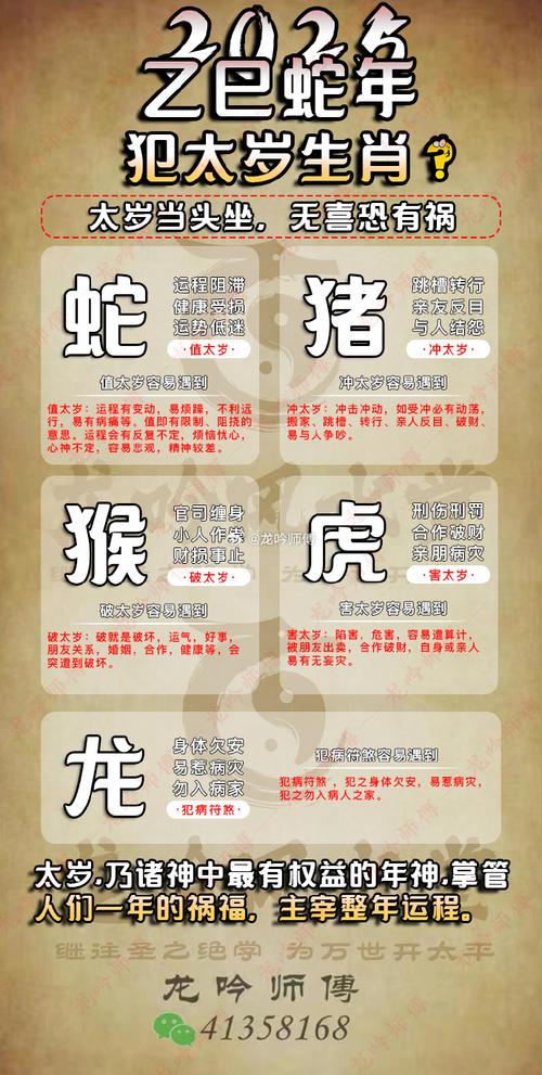 山此川行代表什么生肖的简单介绍