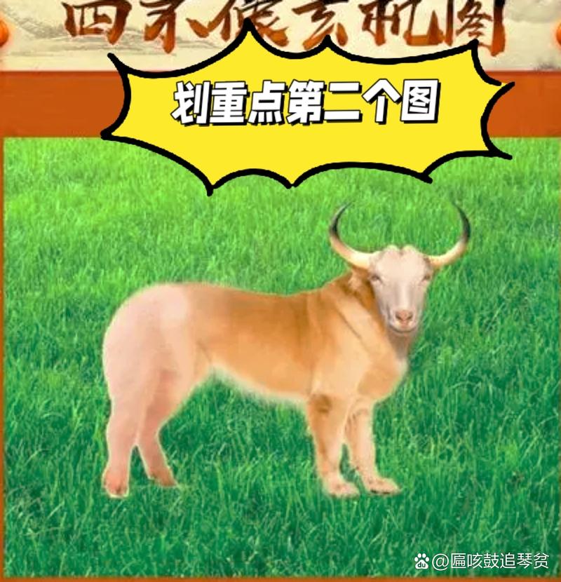 关于今期特开三四打一正确动物的信息