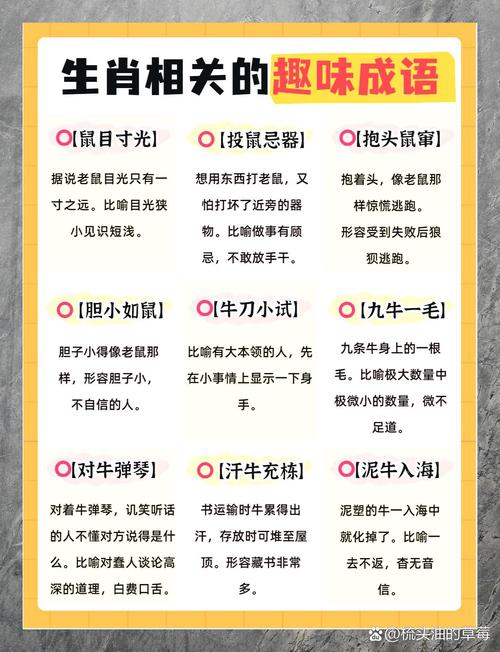 玄机心无芥蒂指什么生肖的简单介绍