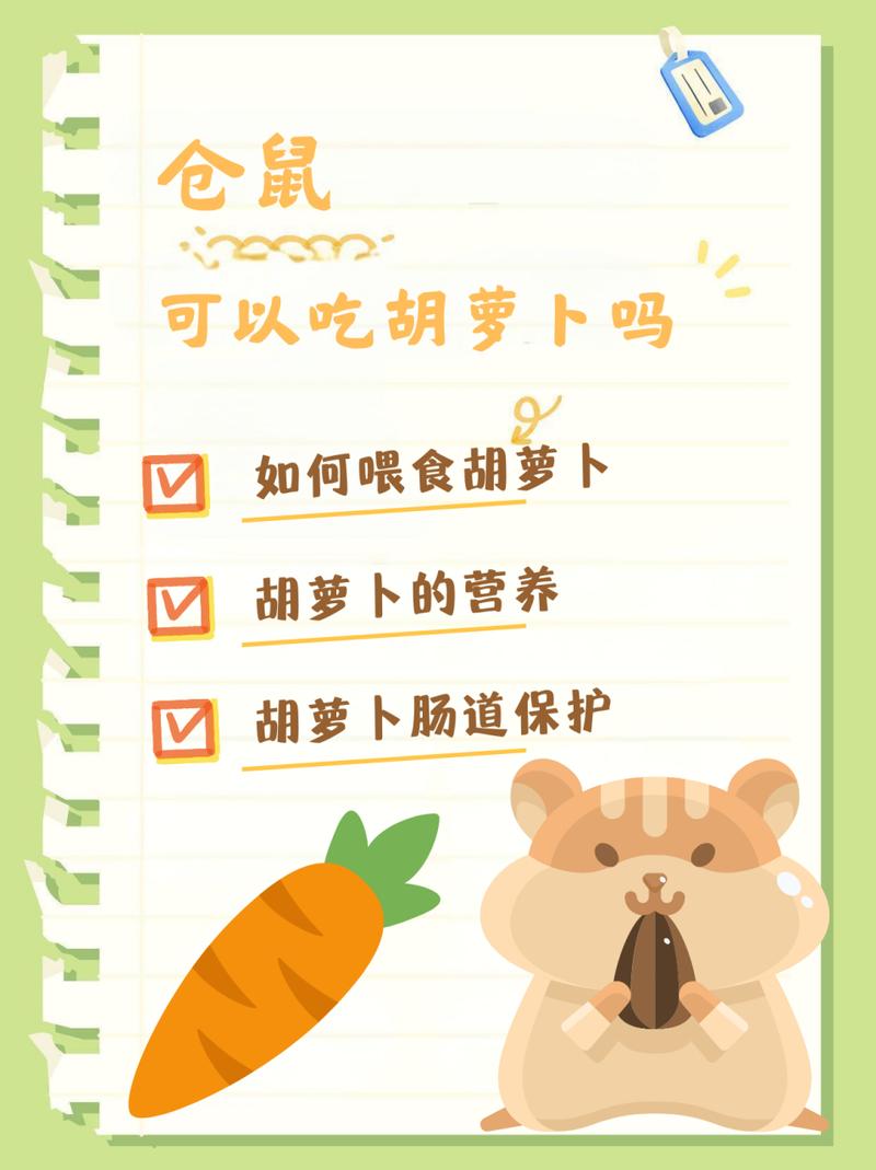 “胡萝卜”是什么生肖,仓鼠吃胡萝卜是什么生肖