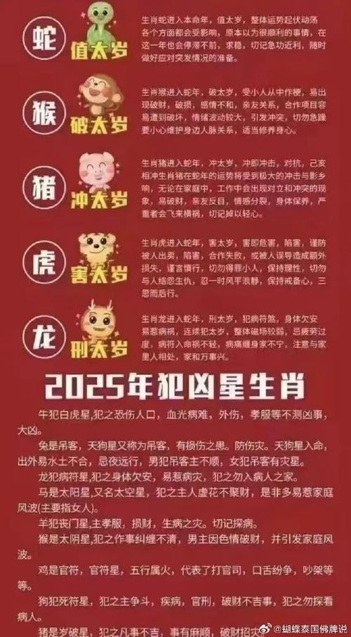今期生肖多留,2025年生肖运势详解