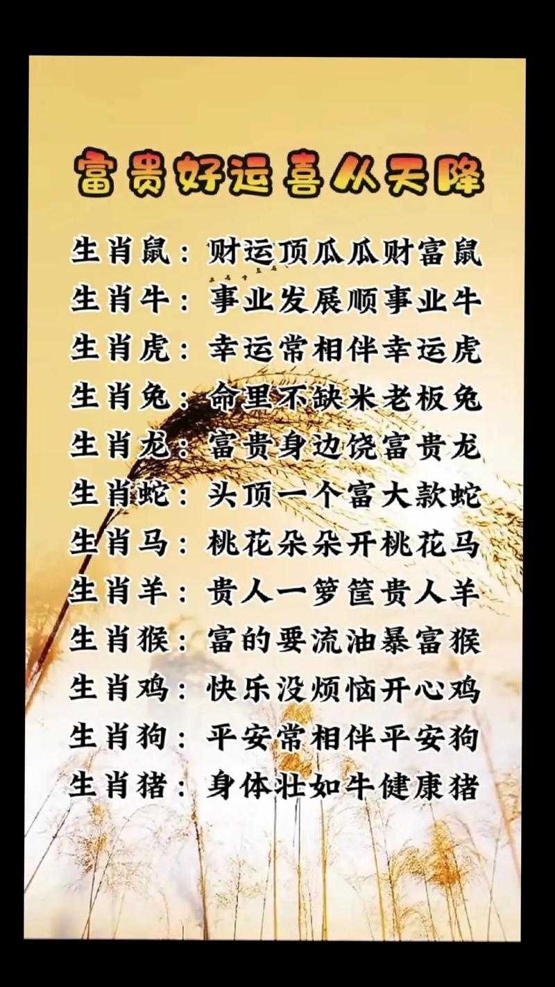 今期特马定荷花最佳答案生肖,今期特马是红花生肖还需自己查