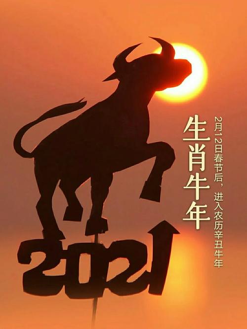 着手回春打一生肖准确答案,着手成春怎么读音是什么意思