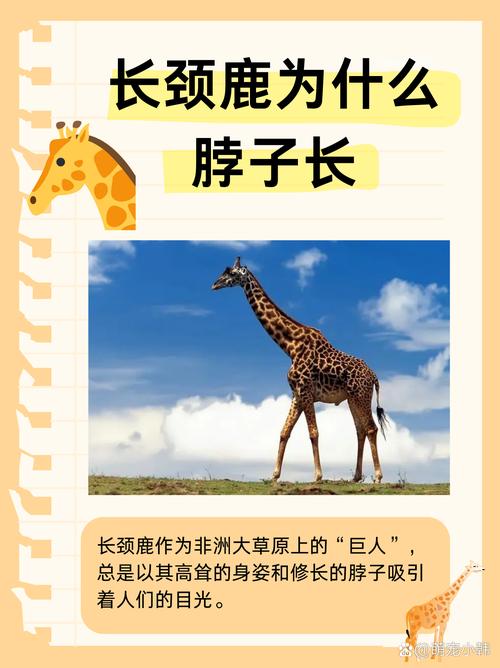 什么生肖脖子有力气,什么动物的脖子有特殊的功能